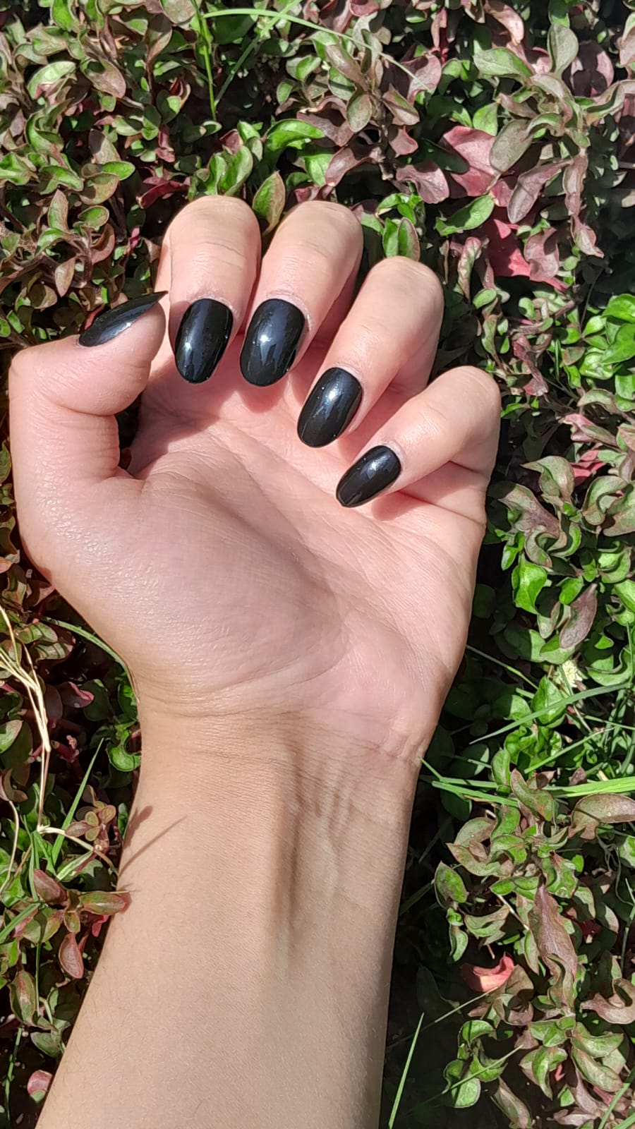 Polished Perfection Nail