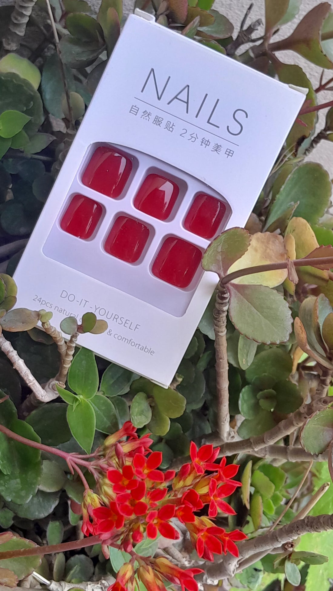Polished Perfection Nail