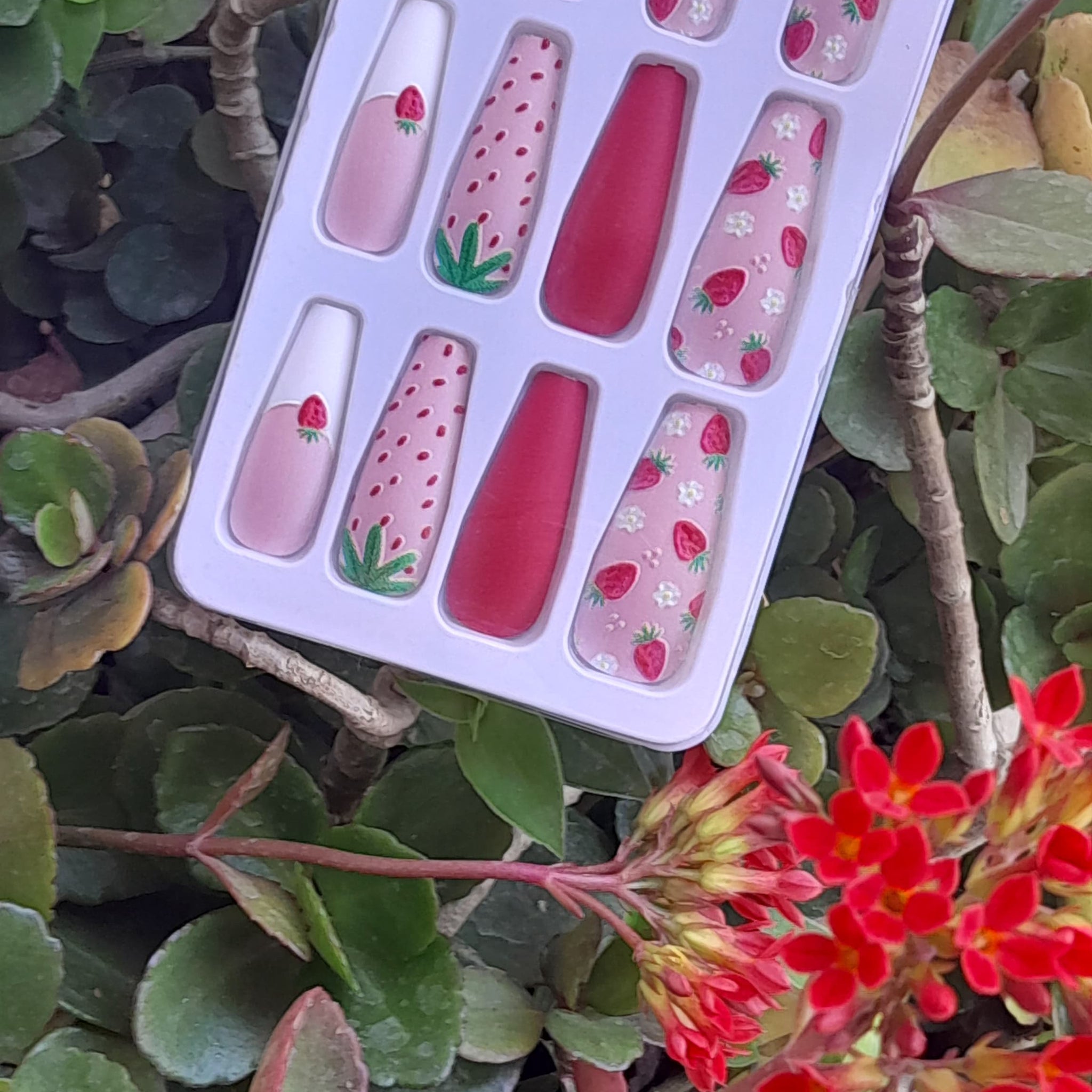Nail Artistry Essentials